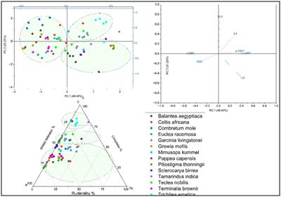 A functional trait-based assessment of urban street tree selection for Ethiopia